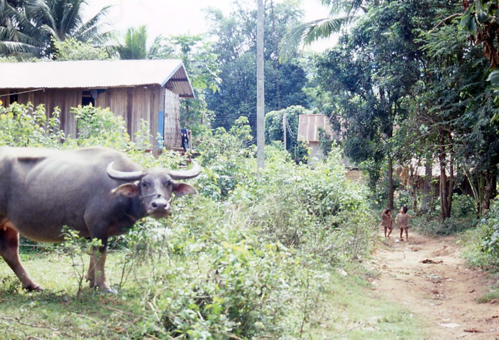 水牛と子ども 
Luang Phabang, Laos