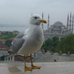 スルタンアフメト・モスク Istanbul, Turkey