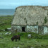 アラン諸島の馬 Aran islands, Ireland